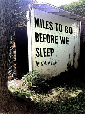 cover image of Miles to Go Before We Sleep